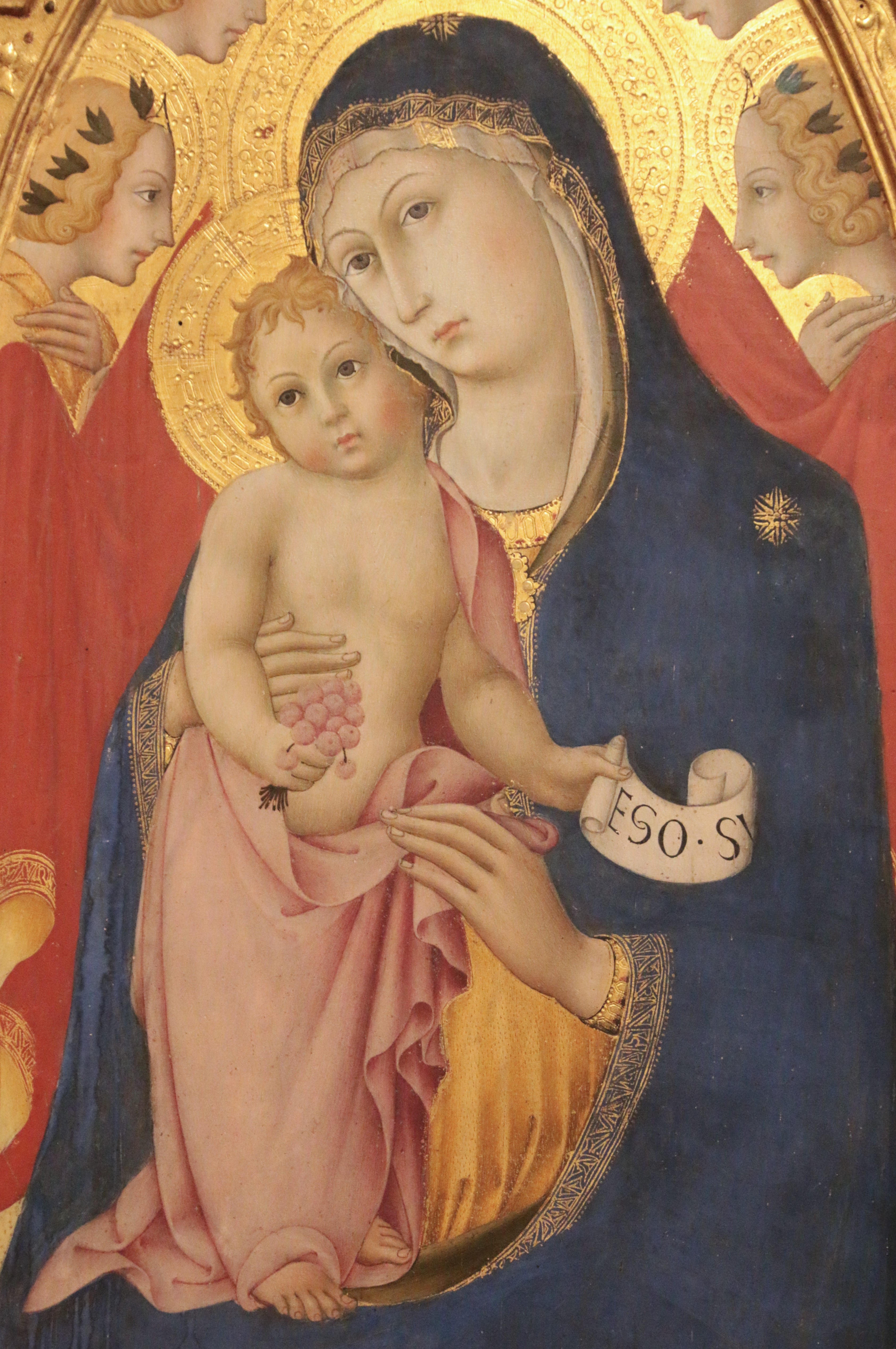 Siena
